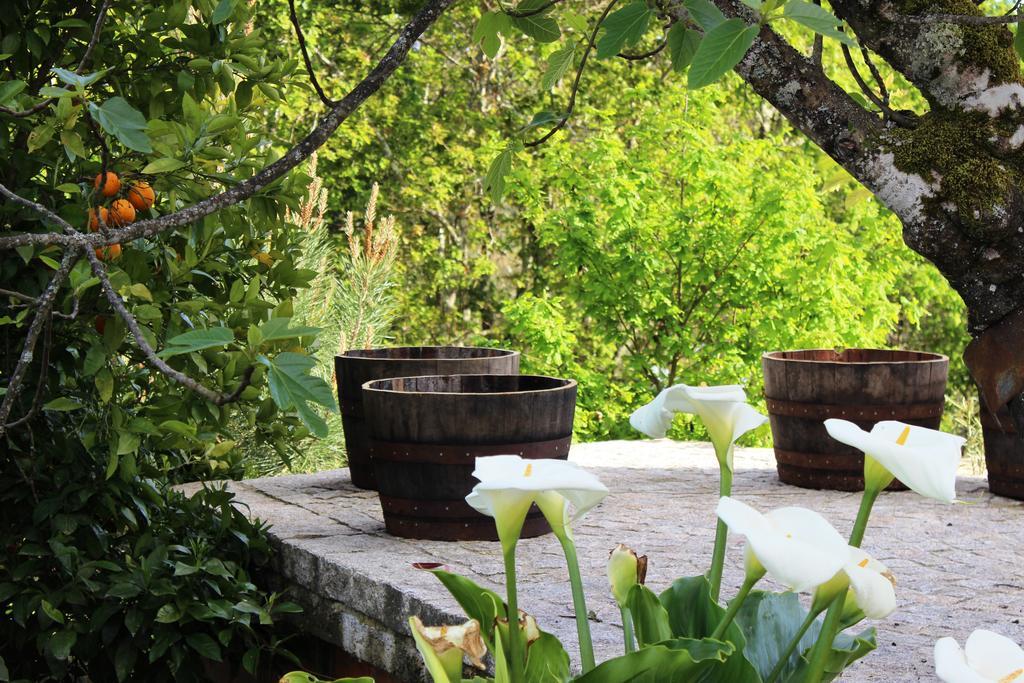 Villa Lugar Do Pego Тондела Екстериор снимка